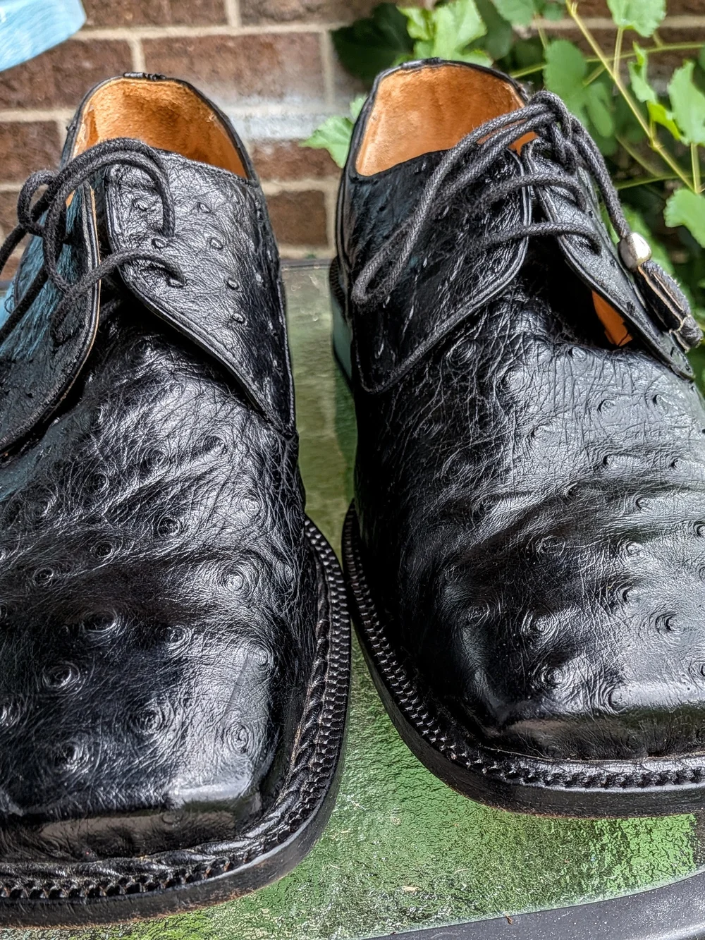 David Eden Men's Exotic 